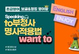 [초급]to부정사 명사적용법 want to